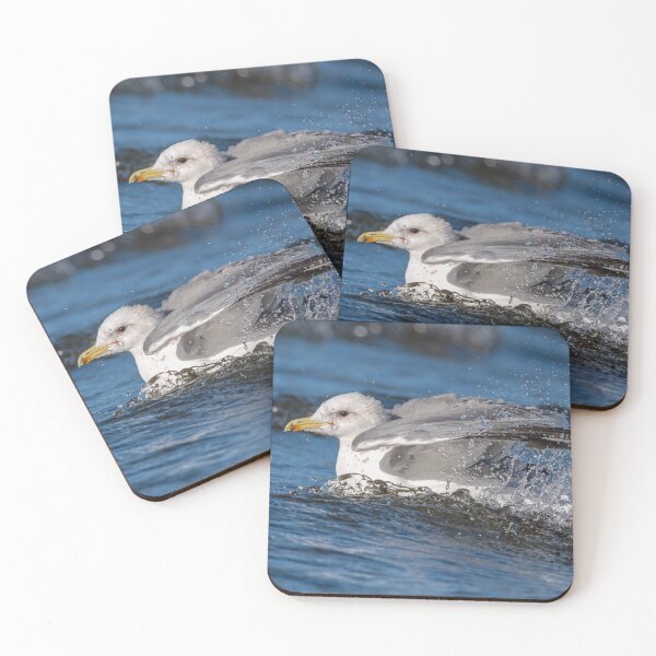 Item preview, Glaucous-winged Gull sparkling and splashing in Lake Sammamish designed and sold by lisavonbiela.
