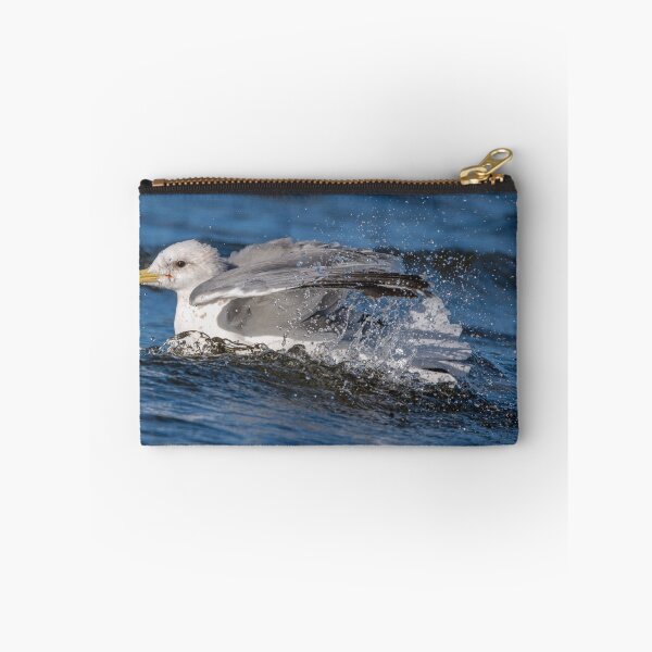 Item preview, Glaucous-winged Gull sparkling and splashing in Lake Sammamish designed and sold by lisavonbiela.