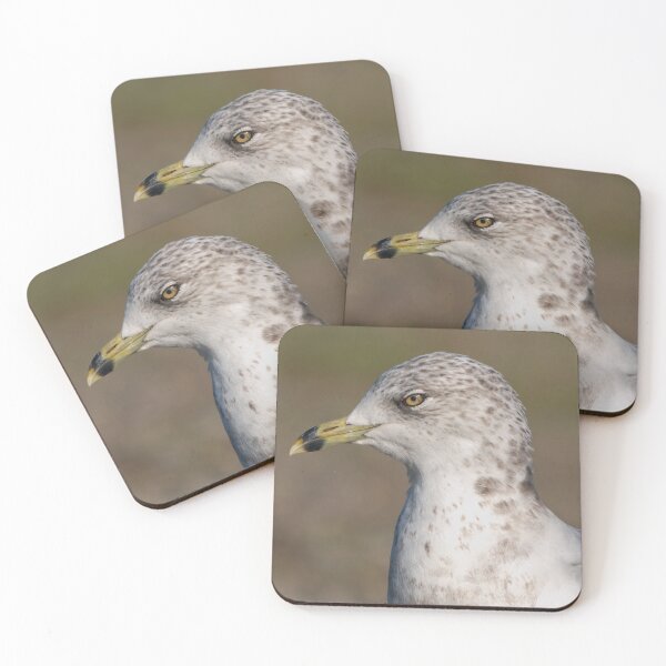 Item preview, Profile of Ring-billed Gull with eye detail designed and sold by lisavonbiela.