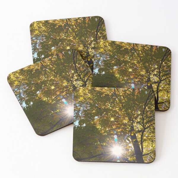 Item preview, Sunburst in fall trees  designed and sold by Cblifeisgood.