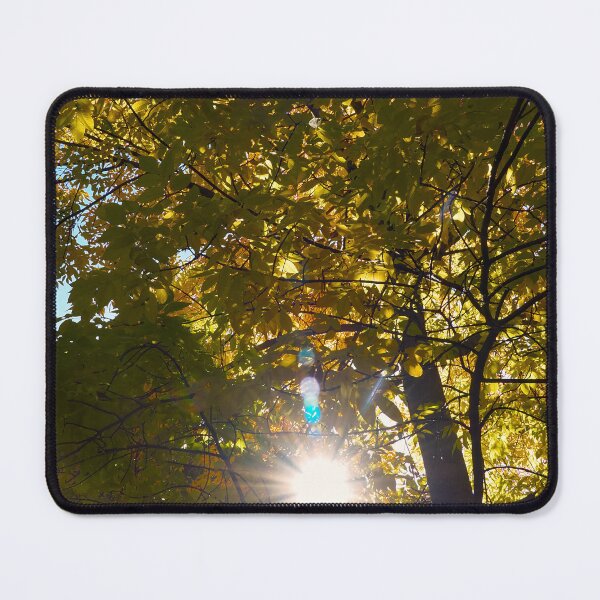 Item preview, Sunburst in fall trees  designed and sold by Cblifeisgood.