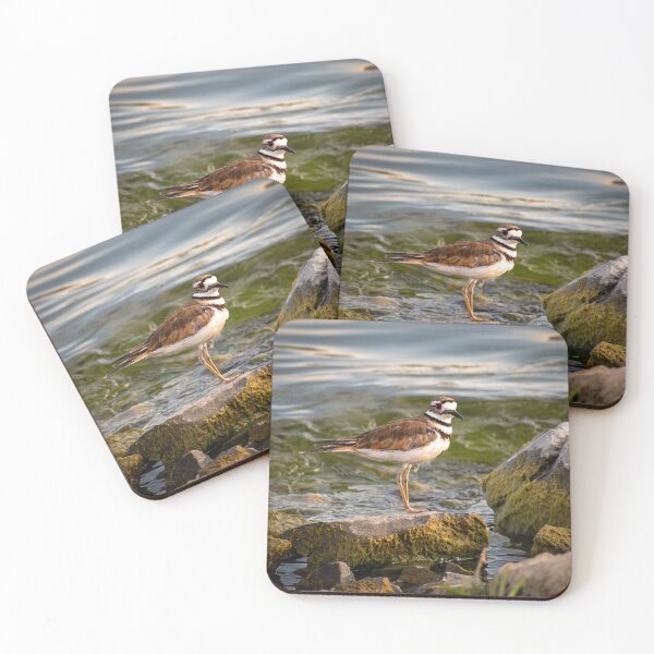 Item preview, Shoreline Defender designed and sold by WrightDesignsUS.