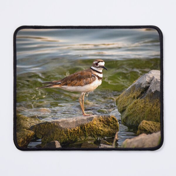 Item preview, Shoreline Defender designed and sold by WrightDesignsUS.