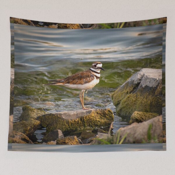 Item preview, Shoreline Defender designed and sold by WrightDesignsUS.