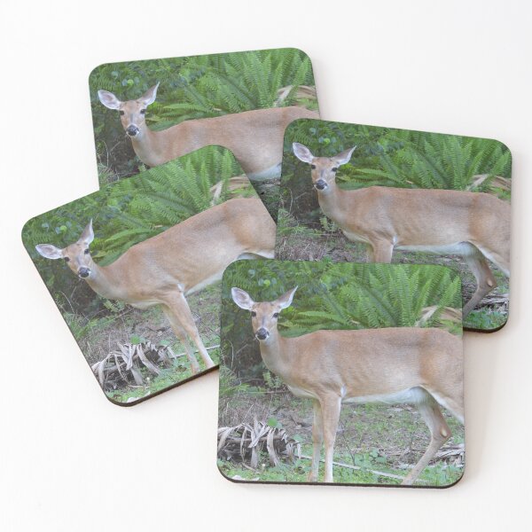 Item preview, Woodland Encounter designed and sold by SunrizePhotos.