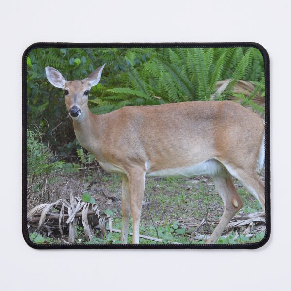 Item preview, Woodland Encounter designed and sold by SunrizePhotos.