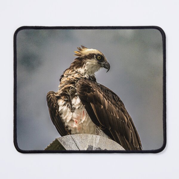 Item preview, Watchful Hunter designed and sold by WrightDesignsUS.