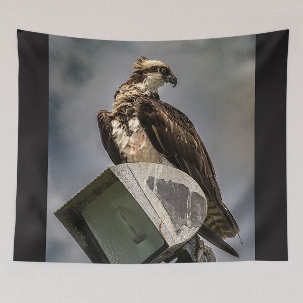 Item preview, Watchful Hunter designed and sold by WrightDesignsUS.