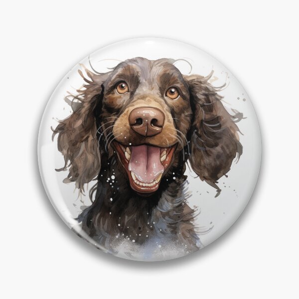 Item preview, I Love my American Water Spaniel designed and sold by TeesandTops.