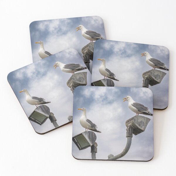 Item preview, Seagull Squabble designed and sold by WrightDesignsUS.