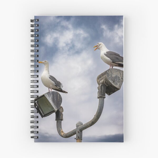 Item preview, Seagull Squabble designed and sold by WrightDesignsUS.