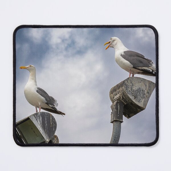 Item preview, Seagull Squabble designed and sold by WrightDesignsUS.