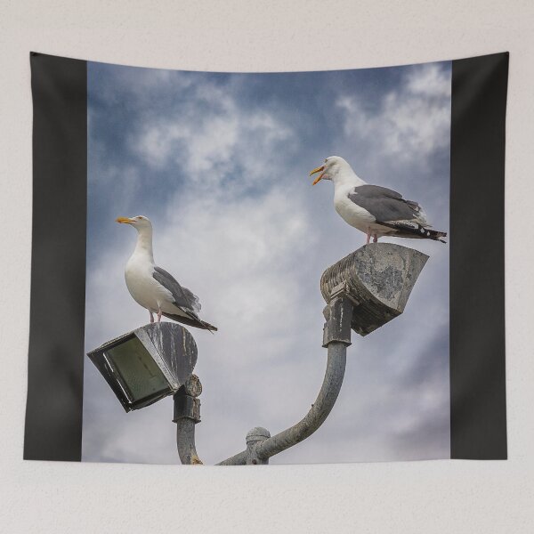 Item preview, Seagull Squabble designed and sold by WrightDesignsUS.