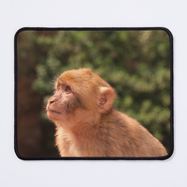 Item preview, Moroccan baby monkey designed and sold by AbaHUB.
