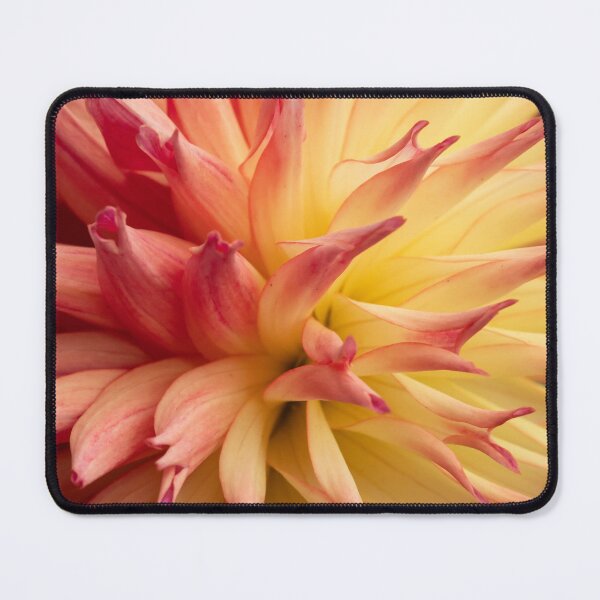 Item preview, red yellow dahlia spokes designed and sold by Esther Frieda.