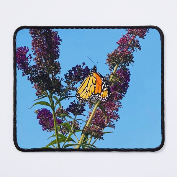 Item preview, See You Soon designed and sold by Lois Bryan.