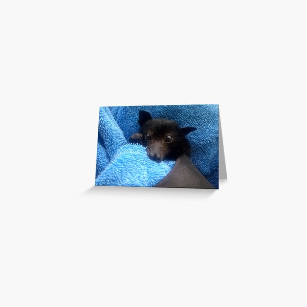 Baby Bat Cruz In Blue. Greeting Card