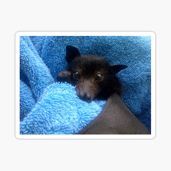 Item preview, Baby Bat Cruz In Blue. designed and sold by BabyBats.