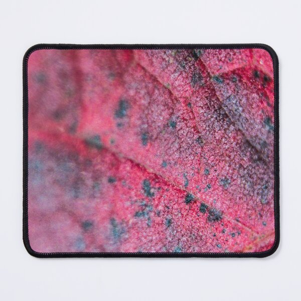 Item preview, Red Leaf Detail designed and sold by lifeinpinkcrochet.