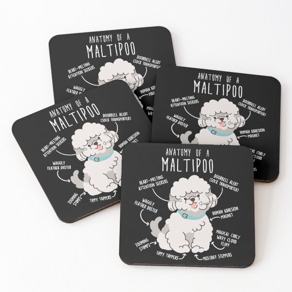 Item preview, Maltipoo Dog Anatomy designed and sold by Clara Hollins.