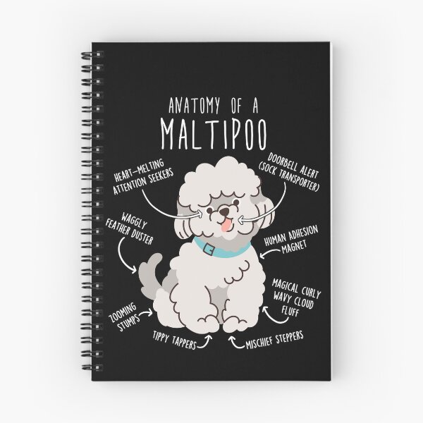 Artikelvorschau, Anatomie des Maltipoo-Hundes entworfen und verkauft von Clara Hollins.