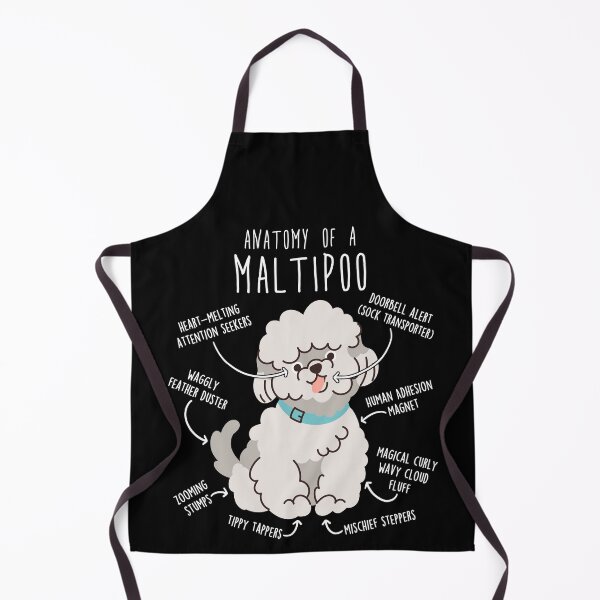 Artikelvorschau, Anatomie des Maltipoo-Hundes entworfen und verkauft von Clara Hollins.
