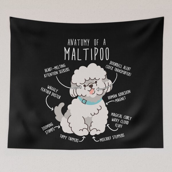 Item preview, Maltipoo Dog Anatomy designed and sold by Clara Hollins.