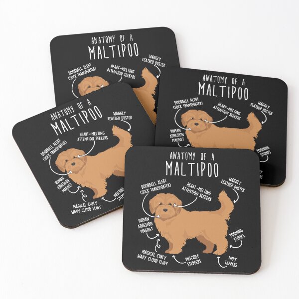 Item preview, Apricot Maltipoo Dog Anatomy designed and sold by Clara Hollins.
