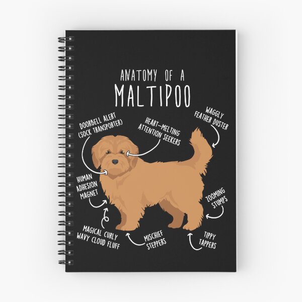 Item preview, Apricot Maltipoo Dog Anatomy designed and sold by Clara Hollins.