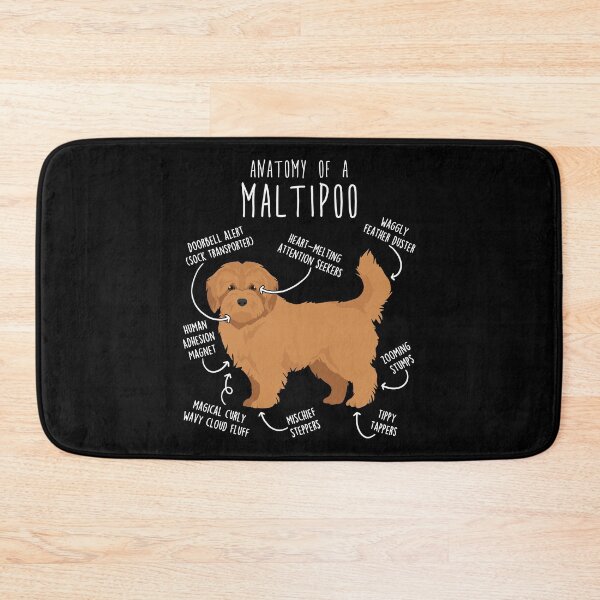 Item preview, Apricot Maltipoo Dog Anatomy designed and sold by Clara Hollins.