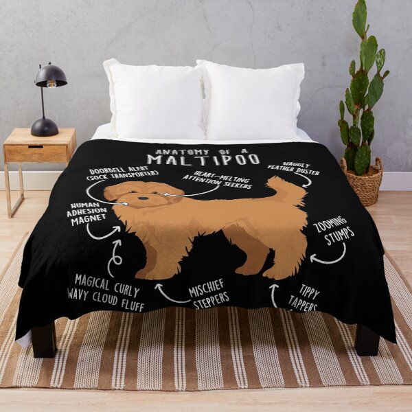 Item preview, Apricot Maltipoo Dog Anatomy designed and sold by Clara Hollins.