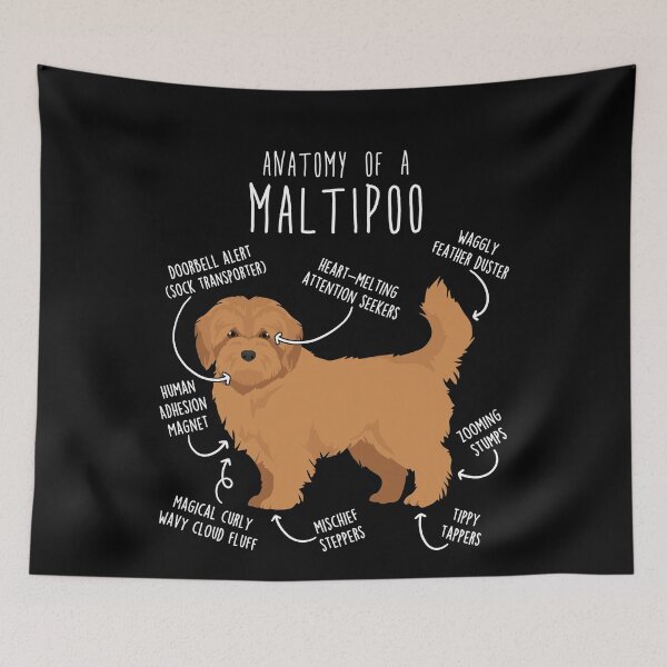 Item preview, Apricot Maltipoo Dog Anatomy designed and sold by Clara Hollins.