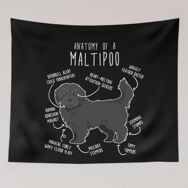 Item preview, Black Maltipoo Dog Anatomy designed and sold by Clara Hollins.