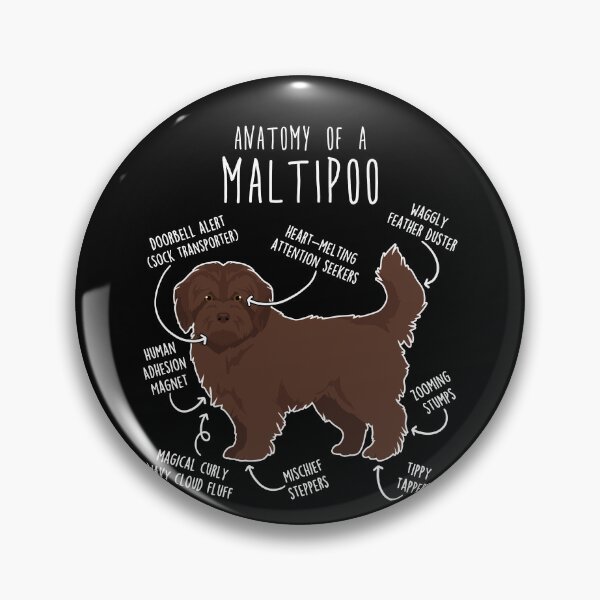Item preview, Chocolate Maltipoo Dog Anatomy designed and sold by Clara Hollins.