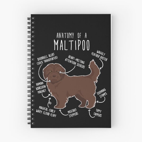 Item preview, Chocolate Maltipoo Dog Anatomy designed and sold by Clara Hollins.
