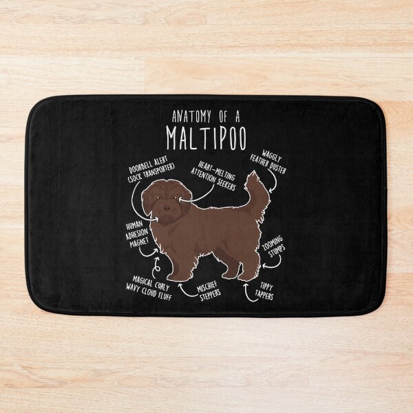 Item preview, Chocolate Maltipoo Dog Anatomy designed and sold by Clara Hollins.