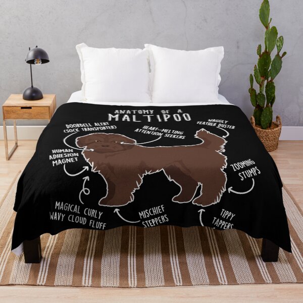 Item preview, Chocolate Maltipoo Dog Anatomy designed and sold by Clara Hollins.