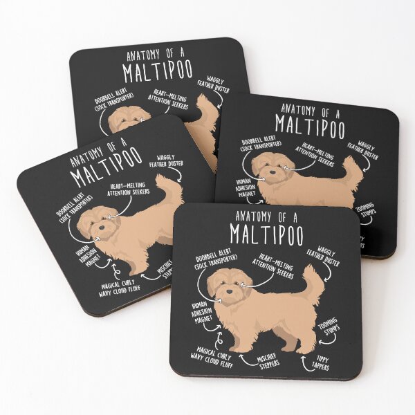 Item preview, Cream Maltipoo Dog Anatomy designed and sold by Clara Hollins.