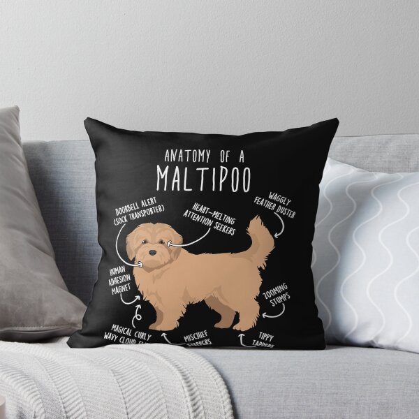 Item preview, Cream Maltipoo Dog Anatomy designed and sold by Clara Hollins.