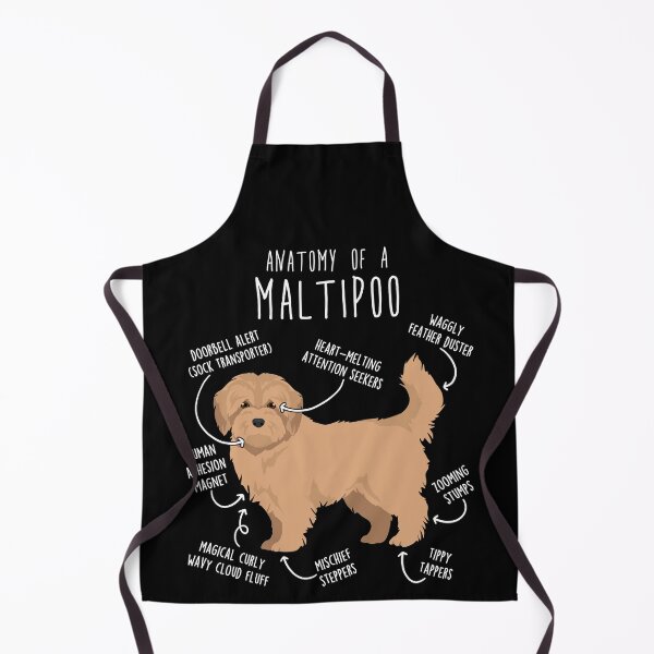 Item preview, Cream Maltipoo Dog Anatomy designed and sold by Clara Hollins.