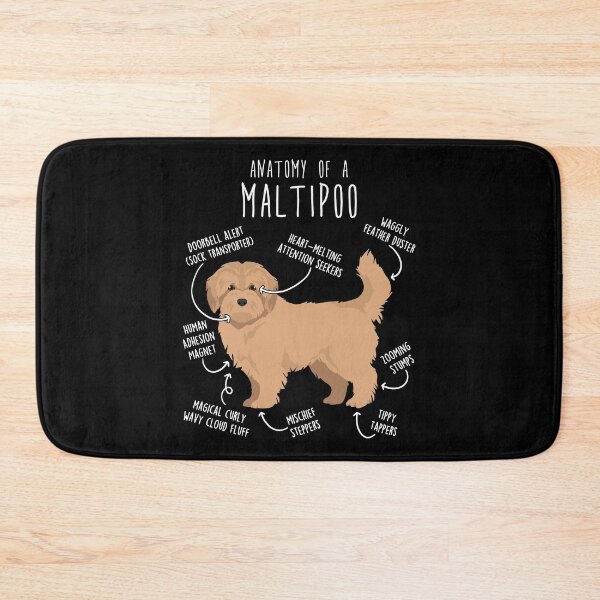 Item preview, Cream Maltipoo Dog Anatomy designed and sold by Clara Hollins.