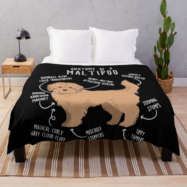 Item preview, Cream Maltipoo Dog Anatomy designed and sold by Clara Hollins.