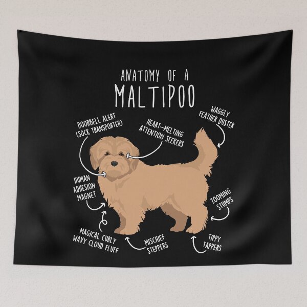 Item preview, Cream Maltipoo Dog Anatomy designed and sold by Clara Hollins.