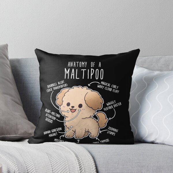 Item preview, Cream Maltipoo Dog Anatomy designed and sold by Clara Hollins.