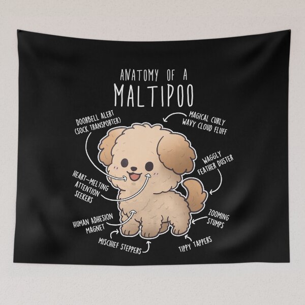 Item preview, Cream Maltipoo Dog Anatomy designed and sold by Clara Hollins.