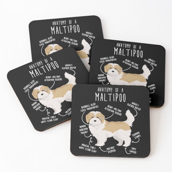 Item preview, Cream and White Maltipoo Dog Anatomy designed and sold by Clara Hollins.
