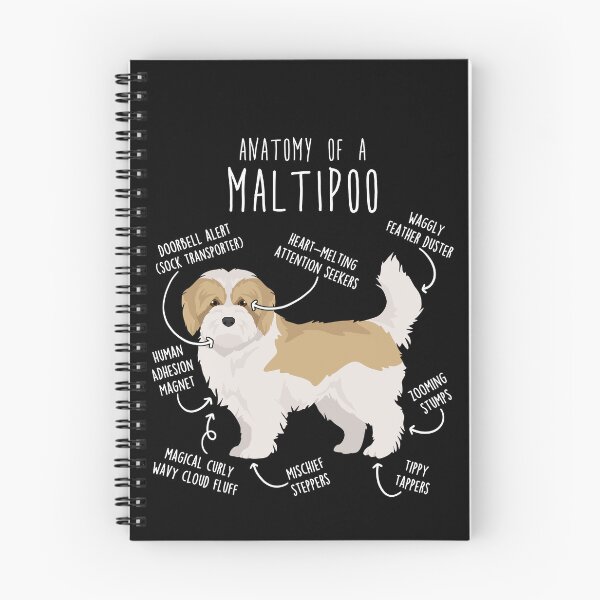 Item preview, Cream and White Maltipoo Dog Anatomy designed and sold by Clara Hollins.