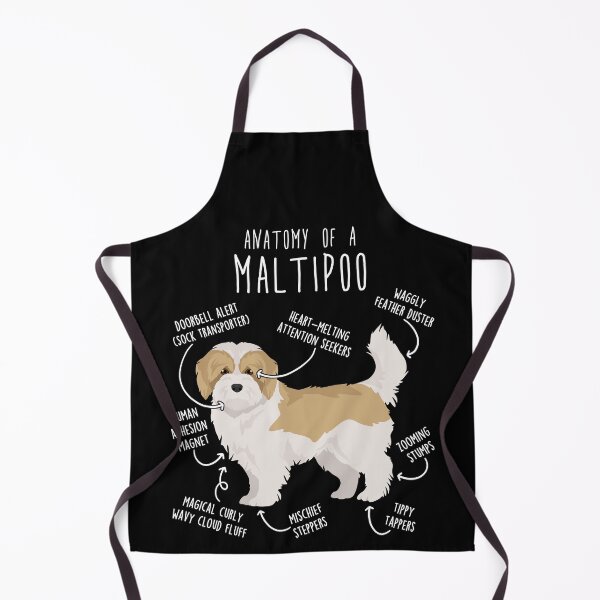 Item preview, Cream and White Maltipoo Dog Anatomy designed and sold by Clara Hollins.