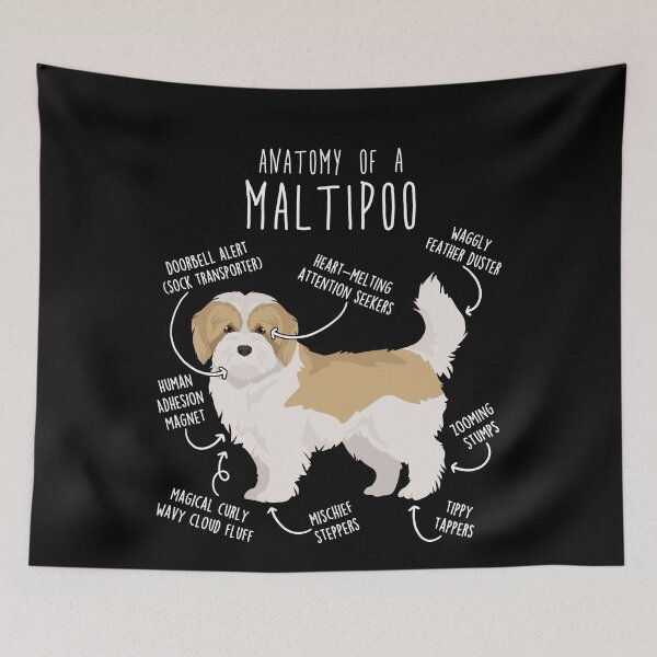 Item preview, Cream and White Maltipoo Dog Anatomy designed and sold by Clara Hollins.