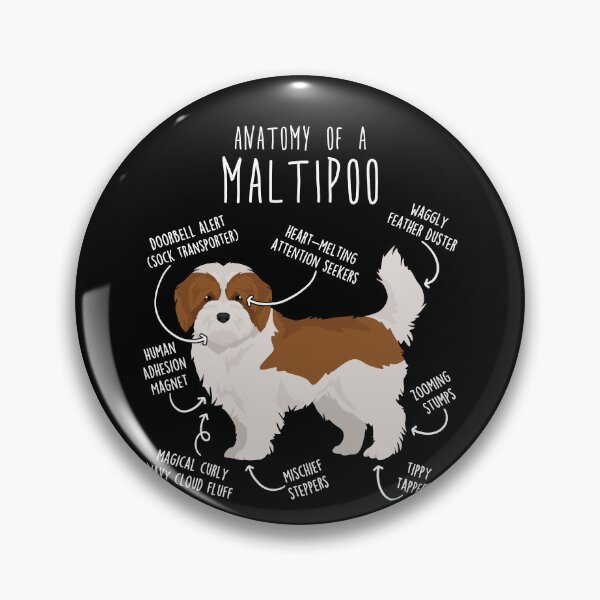 Item preview, Red and White Maltipoo Dog Anatomy designed and sold by Clara Hollins.